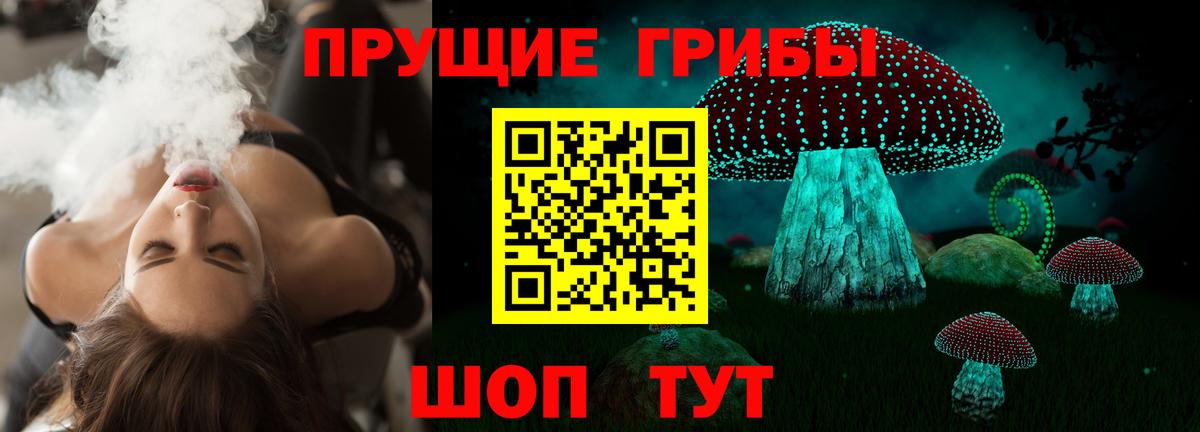 Псилоцибиновые грибы Cubensis  Вход с VPN  Знаменск 